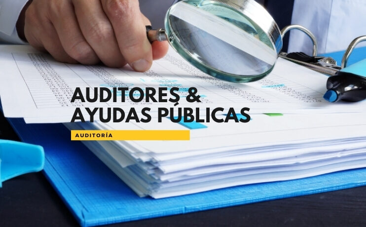 Auditoría y ayudas públicas