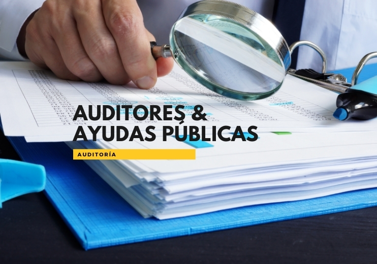 Auditoría y ayudas públicas