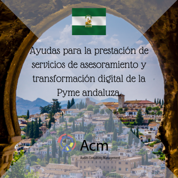 Ayudas para la prestación de servicios de asesoramiento y transformación digital de la pyme andaluza. (1)